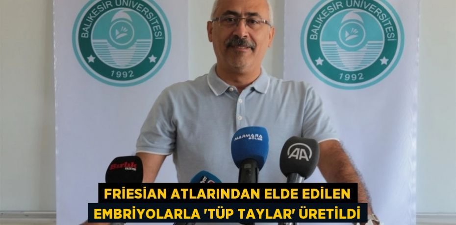 Friesian atlarından elde edilen embriyolarla 'tüp taylar' üretildi