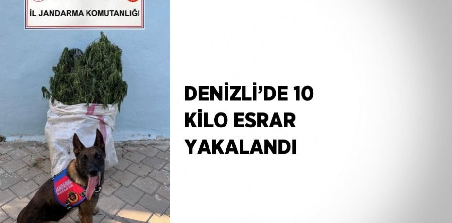 DENİZLİ’DE 10 KİLO ESRAR YAKALANDI