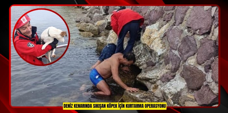 Deniz kenarında sıkışan köpek için kurtarma operasyonu