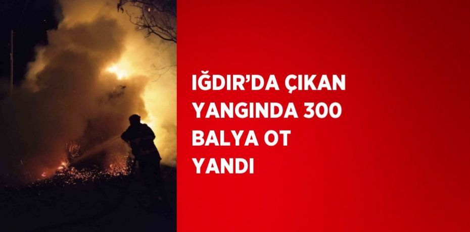IĞDIR’DA ÇIKAN YANGINDA 300 BALYA OT YANDI