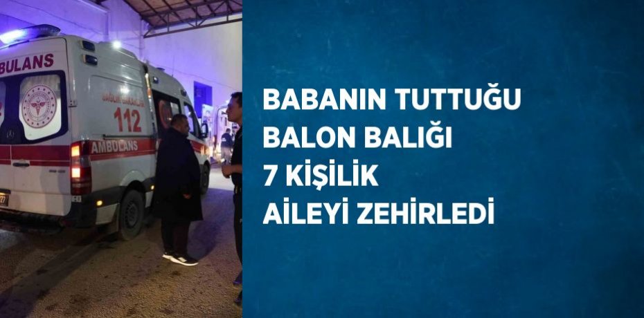 BABANIN TUTTUĞU BALON BALIĞI 7 KİŞİLİK AİLEYİ ZEHİRLEDİ