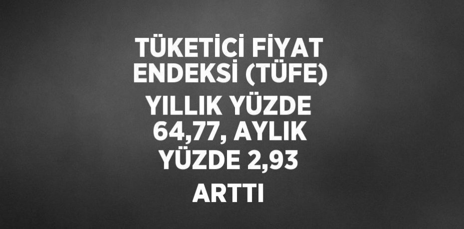 TÜKETİCİ FİYAT ENDEKSİ (TÜFE) YILLIK YÜZDE 64,77, AYLIK YÜZDE 2,93 ARTTI