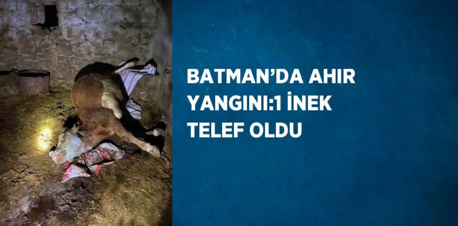 BATMAN’DA AHIR YANGINI:1 İNEK TELEF OLDU
