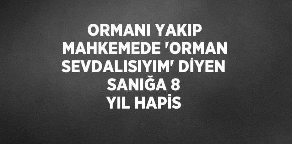 ORMANI YAKIP MAHKEMEDE 'ORMAN SEVDALISIYIM' DİYEN SANIĞA 8 YIL HAPİS
