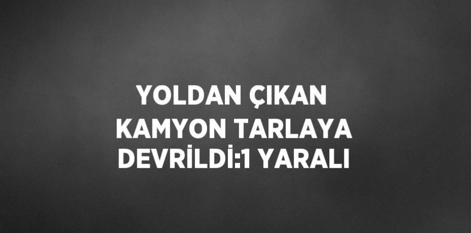 YOLDAN ÇIKAN KAMYON TARLAYA DEVRİLDİ:1 YARALI