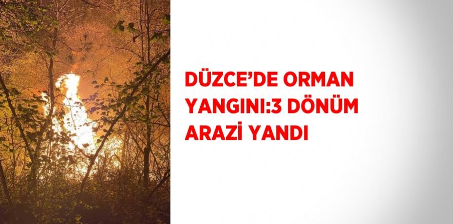 DÜZCE’DE ORMAN YANGINI:3 DÖNÜM ARAZİ YANDI