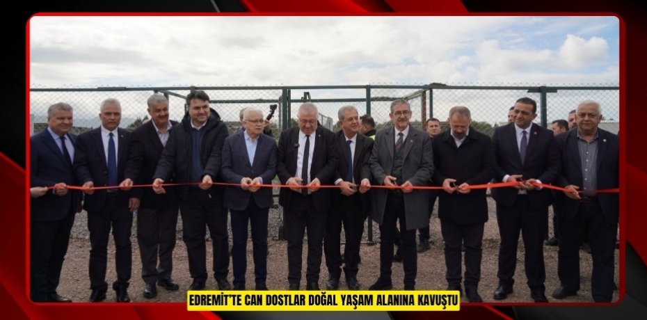 EDREMİT’TE CAN DOSTLAR DOĞAL YAŞAM ALANINA KAVUŞTU