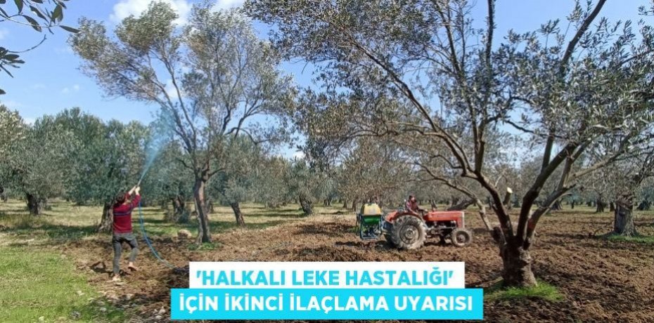 'Halkalı leke hastalığı' için ikinci ilaçlama uyarısı