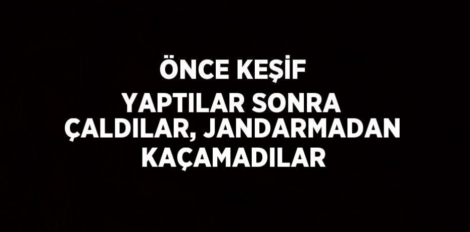 ÖNCE KEŞİF YAPTILAR SONRA ÇALDILAR, JANDARMADAN KAÇAMADILAR