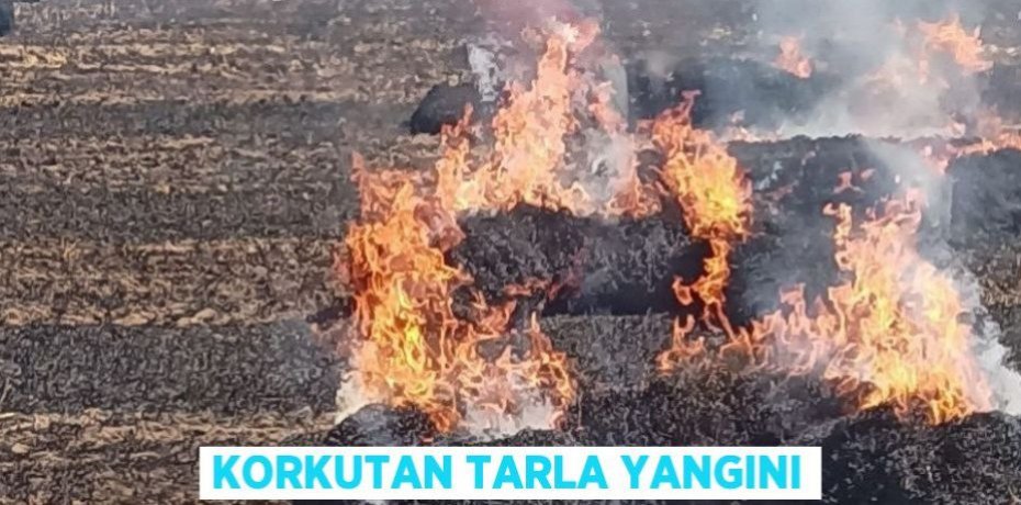 Korkutan tarla yangını