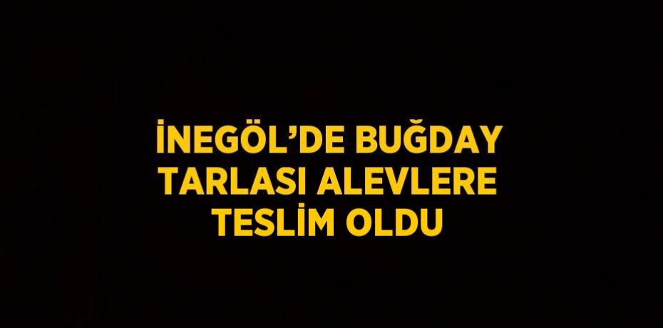 İNEGÖL’DE BUĞDAY TARLASI ALEVLERE TESLİM OLDU