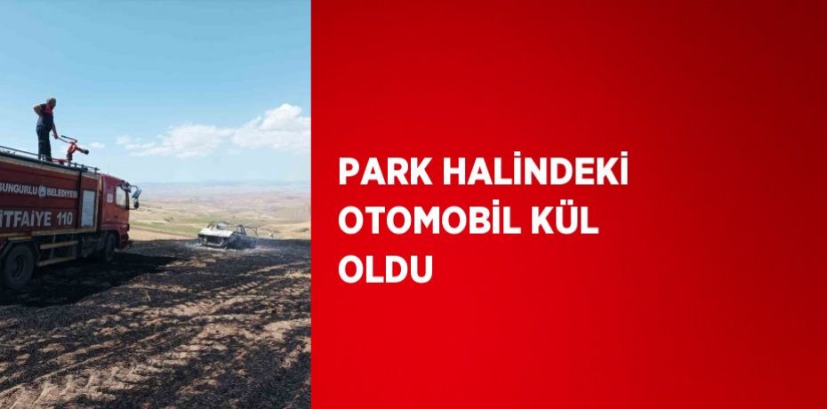 PARK HALİNDEKİ OTOMOBİL KÜL OLDU