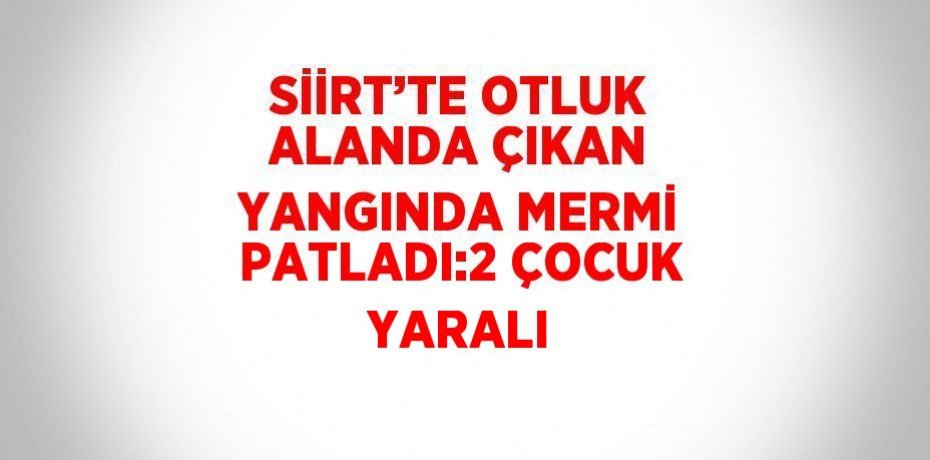 SİİRT’TE OTLUK ALANDA ÇIKAN YANGINDA MERMİ PATLADI:2 ÇOCUK YARALI