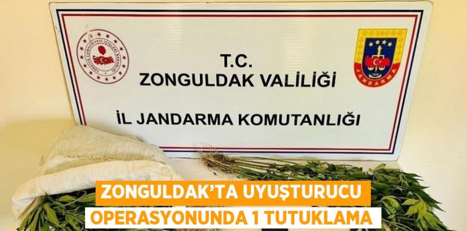 ZONGULDAK’TA UYUŞTURUCU OPERASYONUNDA 1 TUTUKLAMA