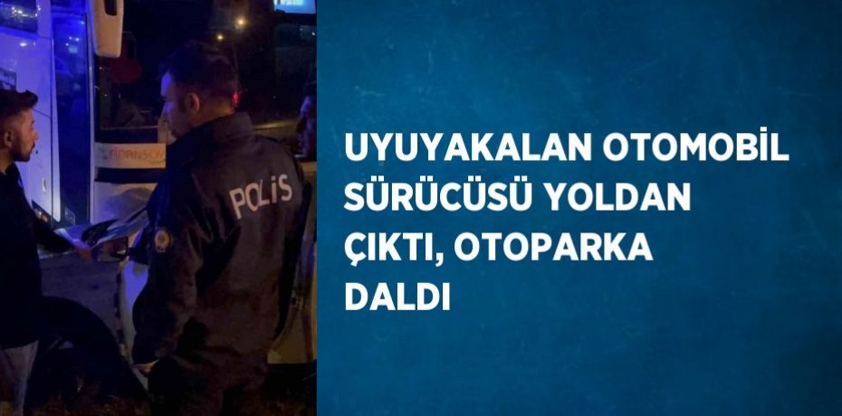 UYUYAKALAN OTOMOBİL SÜRÜCÜSÜ YOLDAN ÇIKTI, OTOPARKA DALDI