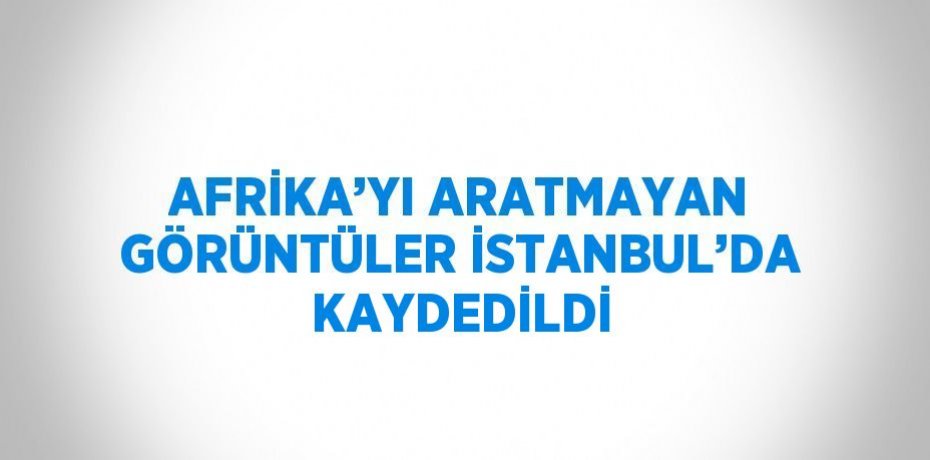 AFRİKA’YI ARATMAYAN GÖRÜNTÜLER İSTANBUL’DA KAYDEDİLDİ