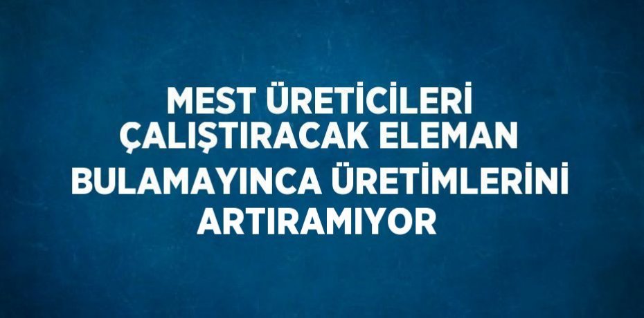 MEST ÜRETİCİLERİ ÇALIŞTIRACAK ELEMAN BULAMAYINCA ÜRETİMLERİNİ ARTIRAMIYOR