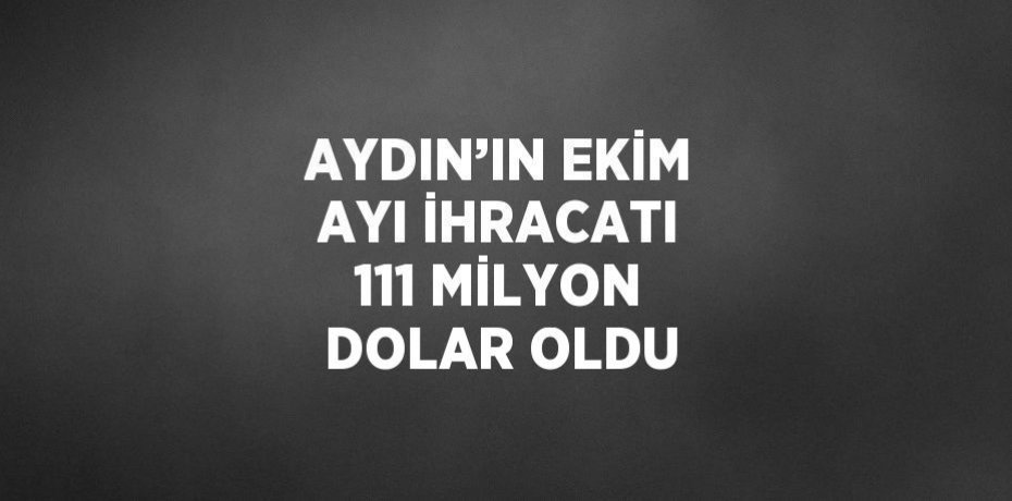 AYDIN’IN EKİM AYI İHRACATI 111 MİLYON DOLAR OLDU