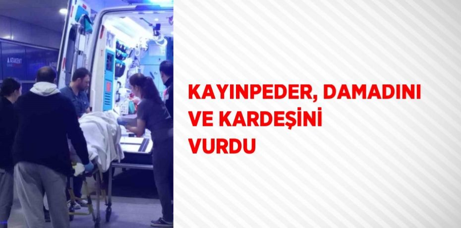 KAYINPEDER, DAMADINI VE KARDEŞİNİ VURDU