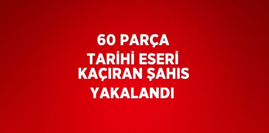 60 PARÇA TARİHİ ESERİ KAÇIRAN ŞAHIS YAKALANDI