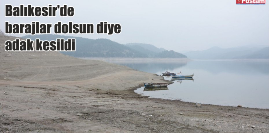 Balıkesir'de barajlar dolsun diye adak kesildi