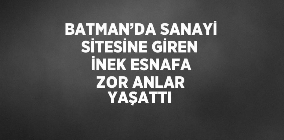 BATMAN’DA SANAYİ SİTESİNE GİREN İNEK ESNAFA ZOR ANLAR YAŞATTI