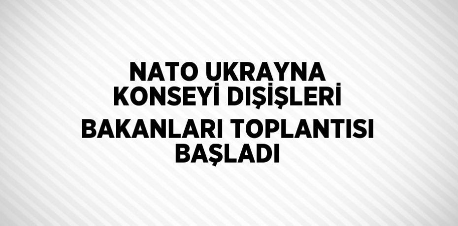 NATO UKRAYNA KONSEYİ DIŞİŞLERİ BAKANLARI TOPLANTISI BAŞLADI