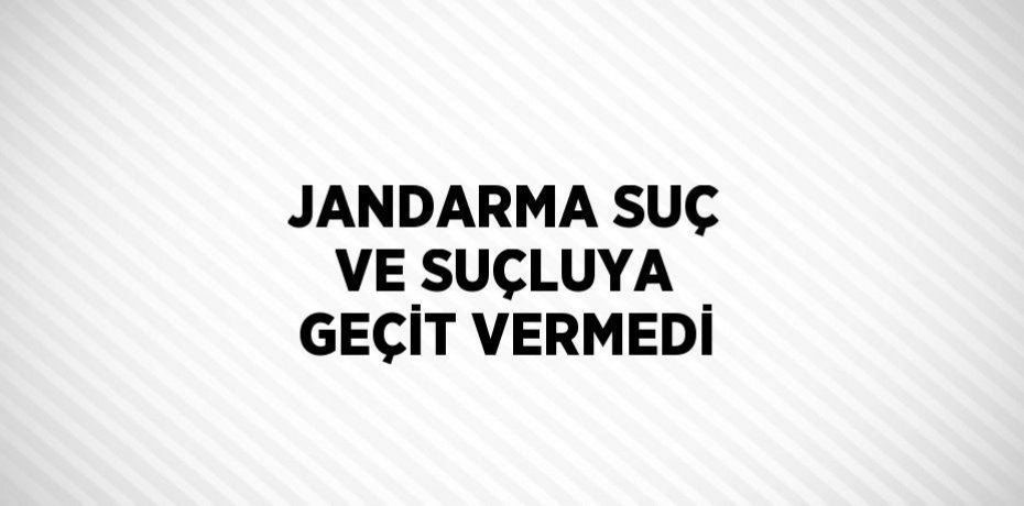 JANDARMA SUÇ VE SUÇLUYA GEÇİT VERMEDİ