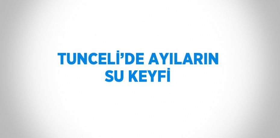 TUNCELİ’DE AYILARIN SU KEYFİ