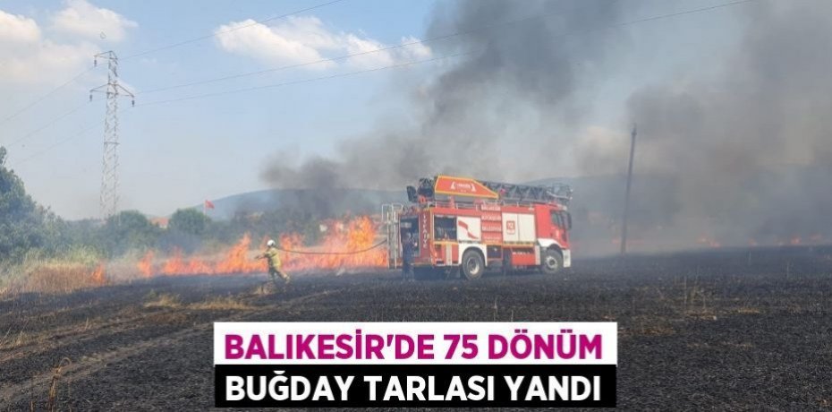 Balıkesir'de 75 dönüm buğday tarlası yandı
