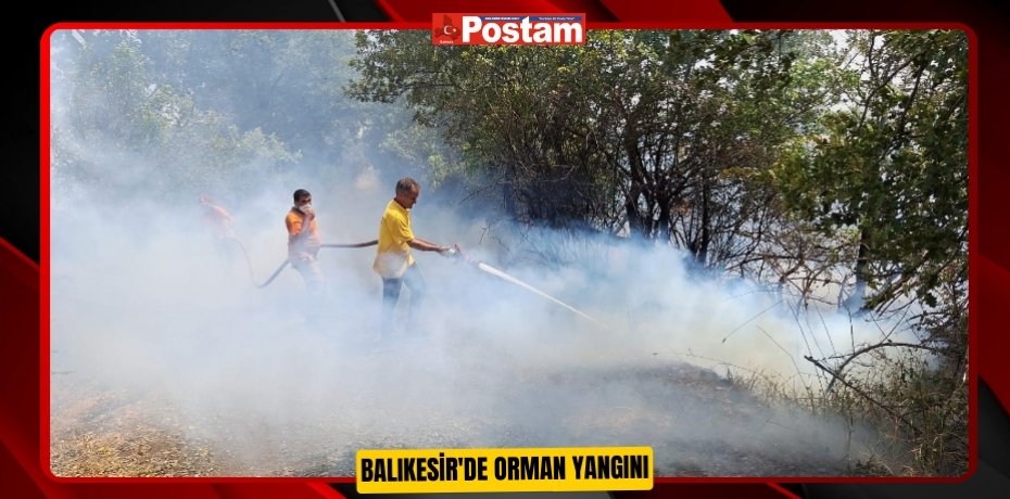 Balıkesir'de orman yangını  