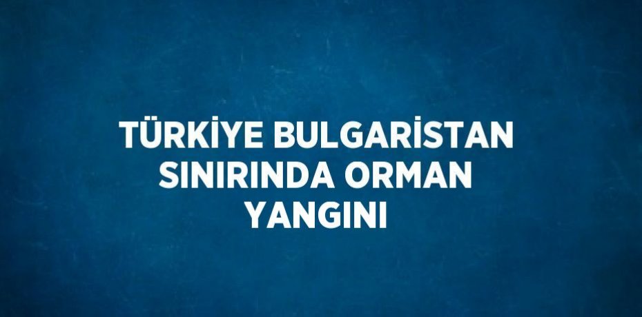 TÜRKİYE BULGARİSTAN SINIRINDA ORMAN YANGINI