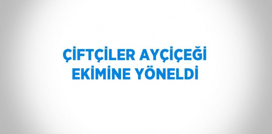 ÇİFTÇİLER AYÇİÇEĞİ EKİMİNE YÖNELDİ