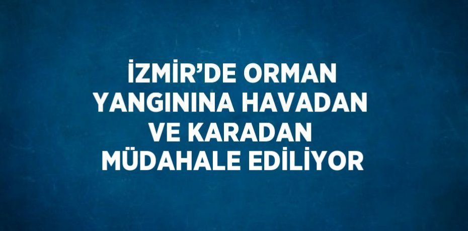 İZMİR’DE ORMAN YANGININA HAVADAN VE KARADAN MÜDAHALE EDİLİYOR