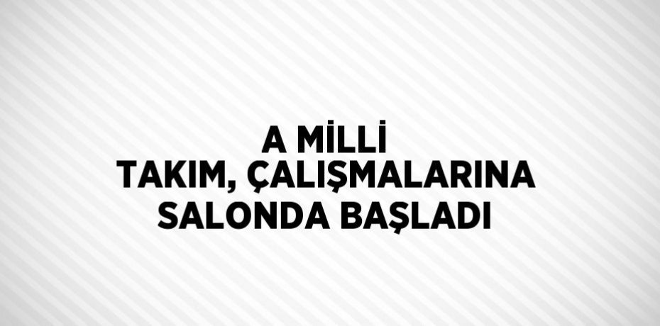 A MİLLİ TAKIM, ÇALIŞMALARINA SALONDA BAŞLADI