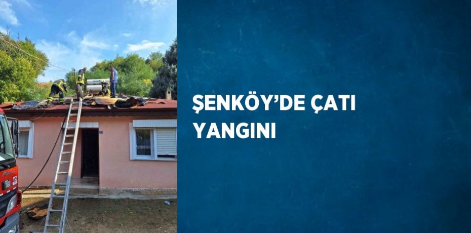 ŞENKÖY’DE ÇATI YANGINI
