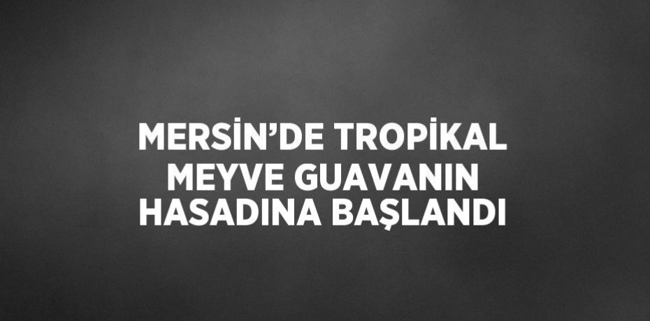 MERSİN’DE TROPİKAL MEYVE GUAVANIN HASADINA BAŞLANDI