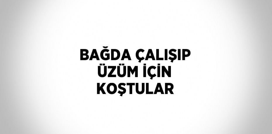 BAĞDA ÇALIŞIP ÜZÜM İÇİN KOŞTULAR