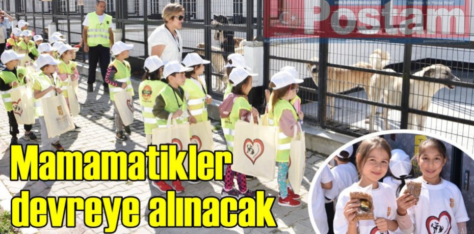 Mamamatikler devreye alınacak