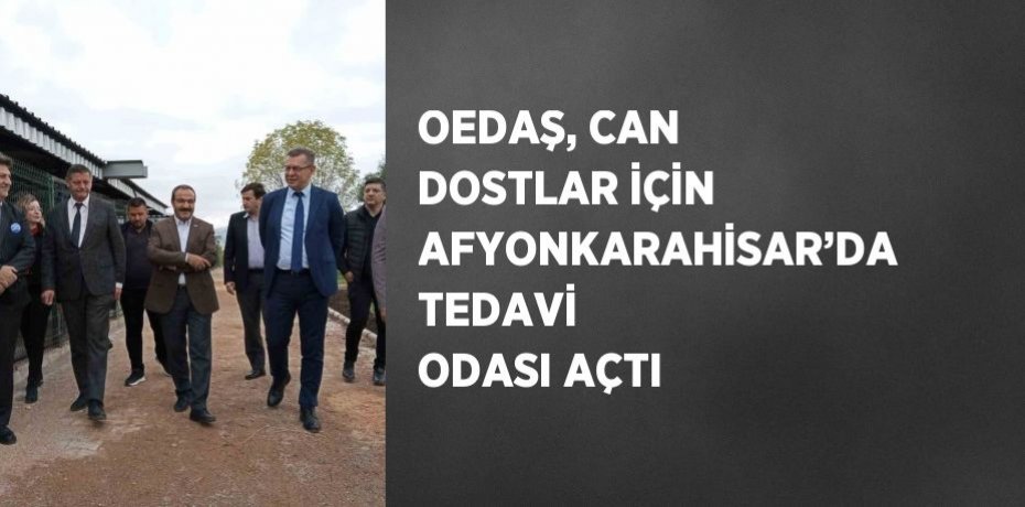 OEDAŞ, CAN DOSTLAR İÇİN AFYONKARAHİSAR’DA TEDAVİ ODASI AÇTI