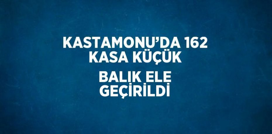 KASTAMONU’DA 162 KASA KÜÇÜK BALIK ELE GEÇİRİLDİ