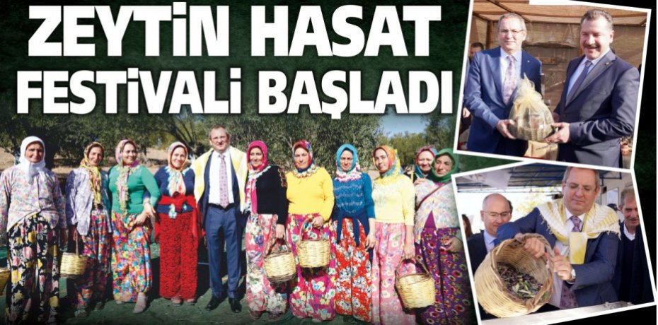 AYVALIK’TA ZEYTİN HASAT FESTİVALİ BAŞLADI
