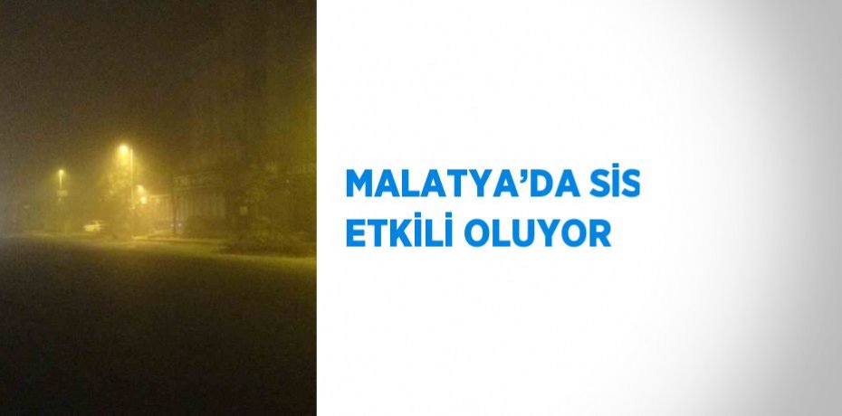 MALATYA’DA SİS ETKİLİ OLUYOR