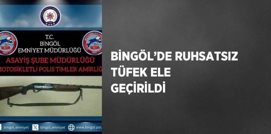 BİNGÖL’DE RUHSATSIZ TÜFEK ELE GEÇİRİLDİ