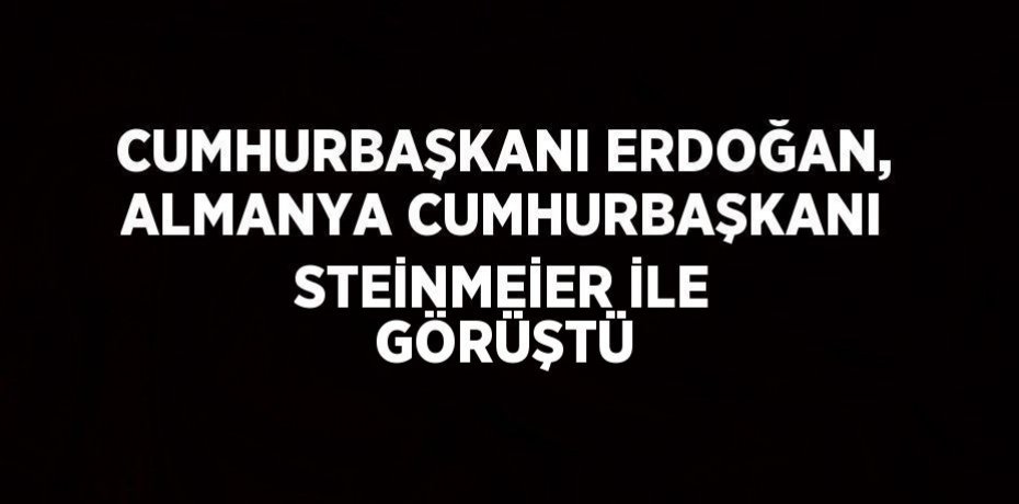 CUMHURBAŞKANI ERDOĞAN, ALMANYA CUMHURBAŞKANI STEİNMEİER İLE GÖRÜŞTÜ