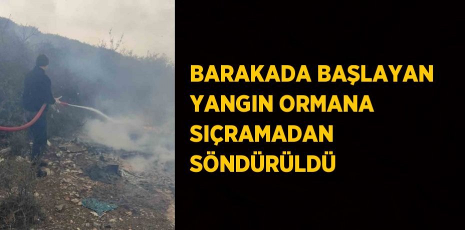 BARAKADA BAŞLAYAN YANGIN ORMANA SIÇRAMADAN SÖNDÜRÜLDÜ