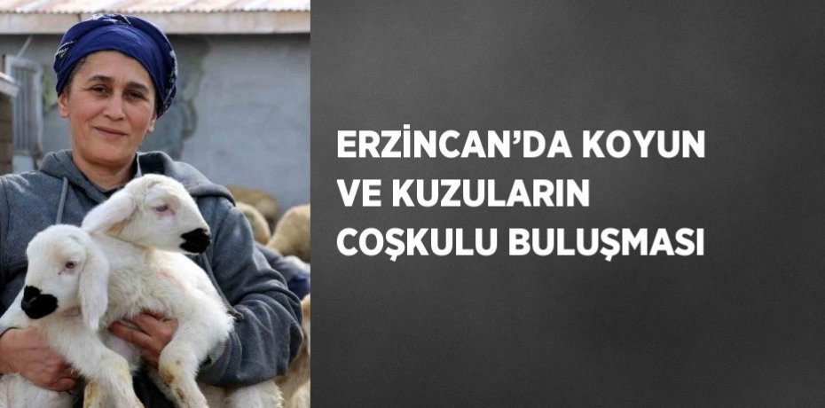 ERZİNCAN’DA KOYUN VE KUZULARIN COŞKULU BULUŞMASI