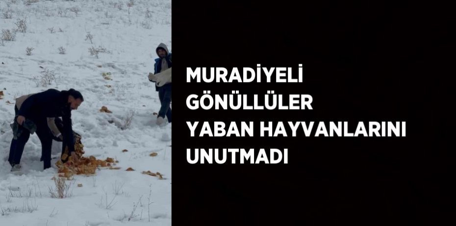 MURADİYELİ GÖNÜLLÜLER YABAN HAYVANLARINI UNUTMADI