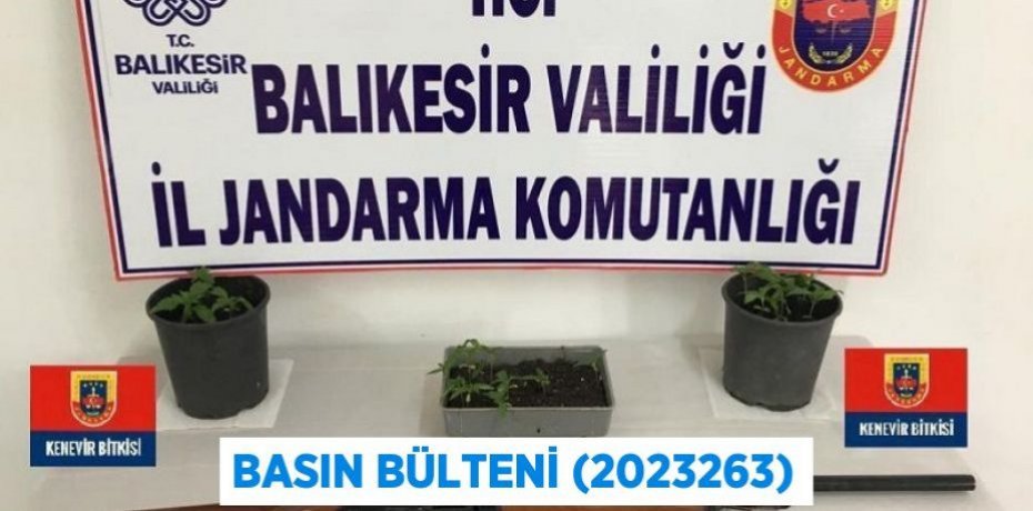 Basın Bülteni (2023263)