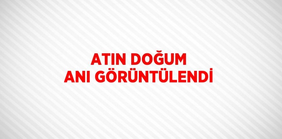 ATIN DOĞUM ANI GÖRÜNTÜLENDİ